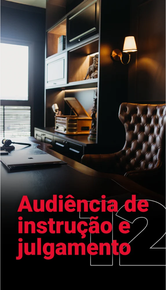 CAPA 12